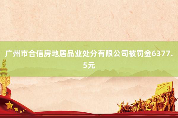 广州市合信房地居品业处分有限公司被罚金6377.5元